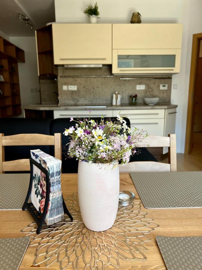 スピンドレルフ・ムリンApartman Labska 21 Ve Spindlerove Mlyneアパートメント エクステリア 写真