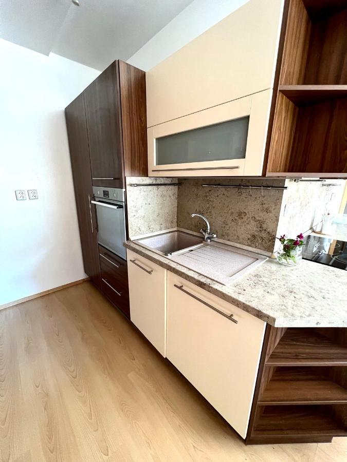スピンドレルフ・ムリンApartman Labska 21 Ve Spindlerove Mlyneアパートメント エクステリア 写真