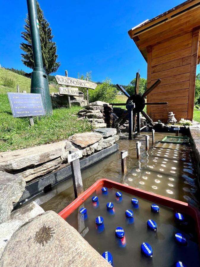 スピンドレルフ・ムリンApartman Labska 21 Ve Spindlerove Mlyneアパートメント エクステリア 写真