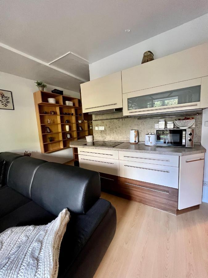 スピンドレルフ・ムリンApartman Labska 21 Ve Spindlerove Mlyneアパートメント エクステリア 写真
