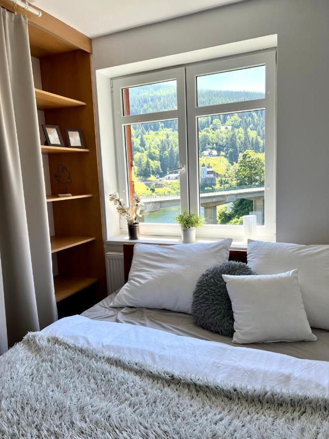 スピンドレルフ・ムリンApartman Labska 21 Ve Spindlerove Mlyneアパートメント エクステリア 写真
