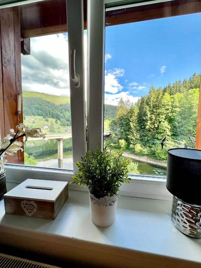 スピンドレルフ・ムリンApartman Labska 21 Ve Spindlerove Mlyneアパートメント エクステリア 写真